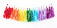 Rainbow_20Tassels_original